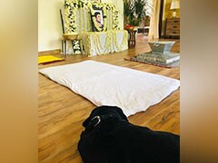 Sushant Singh Rajput की पुण्यतिथि पर एक्टर को एकटक निहारता रहा डॉगी फज, वायरल हुई Photo  