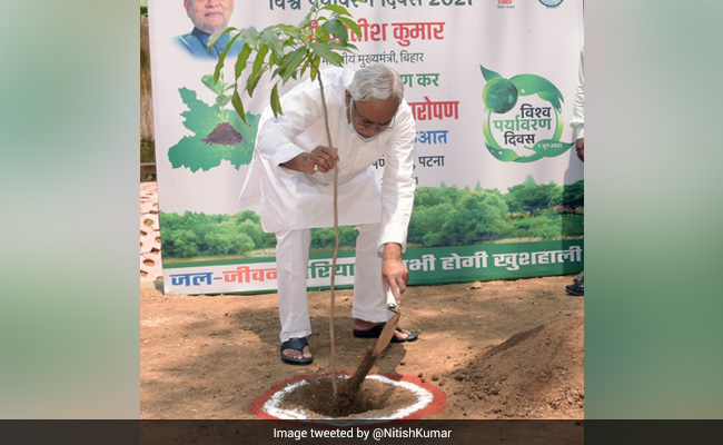 Nitish Kumar On World Environment Day: Bihar To Plant 5 Crore Saplings