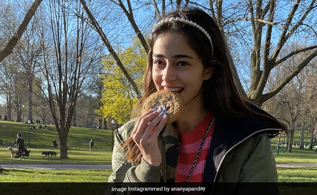 How To Make Ananya Panday "Smile 101" - List Provided By Her