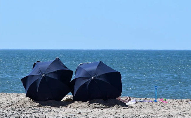 Nude Aussie Sunbathers Rescued, Fined After Deer Run-In