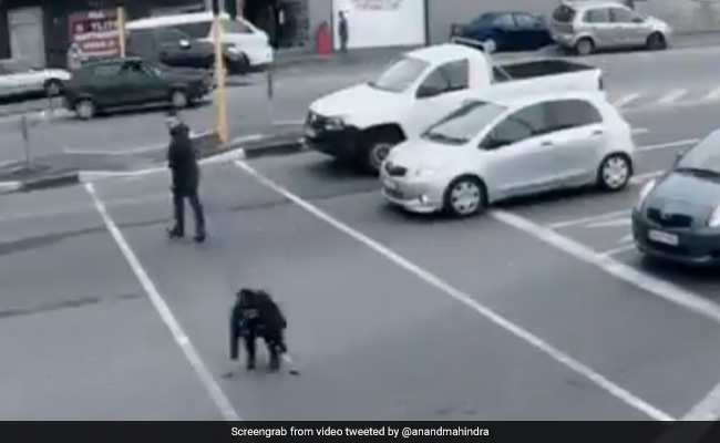 पैदल चलते हुए मोबाइल देख रहे लोगों के साथ हुए ऐसे हादसे, आनंद महिंद्रा बोले- 'ऐसा मेरे साथ भी हो चुका है' - देखें Video