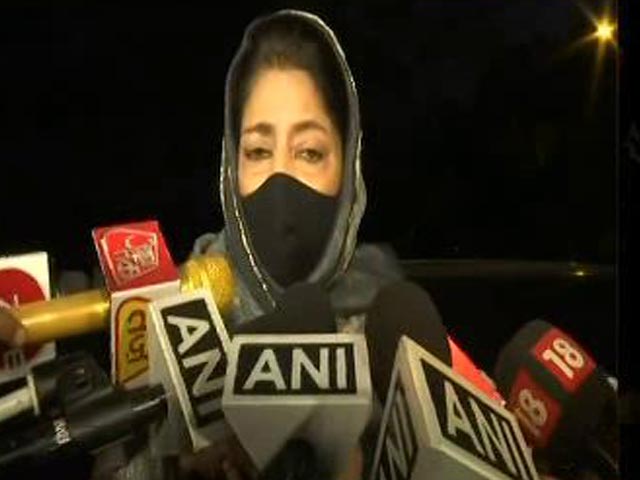 Will Struggle For Article 370, Says Mehbooba Mufti