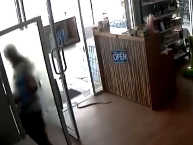 Watch: A Snake Slithers In, A Worker Runs Out In Hilarious Clip