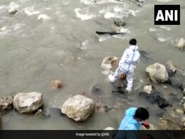 "Death Of Humanity", Say Locals As Dogs Feed On Bodies At Uttarakhand Riverbank "Death Of Humanity", Say Locals As Dogs Feed On Bodies At Uttarakhand Riverbank