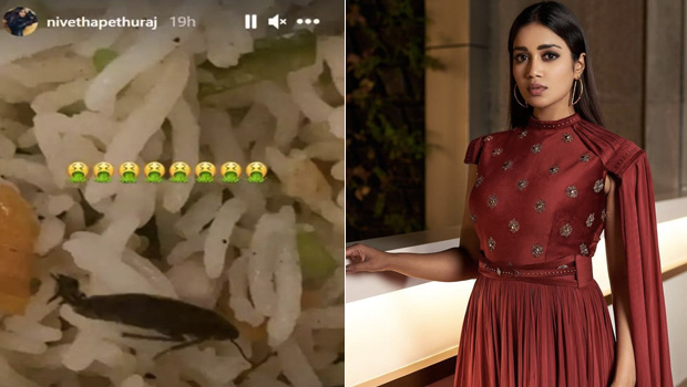Actress Nivetha Pethuraj Complains To Swiggy After Finding Cockroach In Her Food - See Post