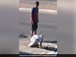 गटर में गिर गई थी बिल्ली, मासूम बच्चे ने नाले में हाथ डालकर यूं निकाला बाहर, देखें दिल छूने वाला VIDEO गटर में गिर गई थी बिल्ली, मासूम बच्चे ने नाले में हाथ डालकर यूं निकाला बाहर, देखें दिल छूने वाला VIDEO