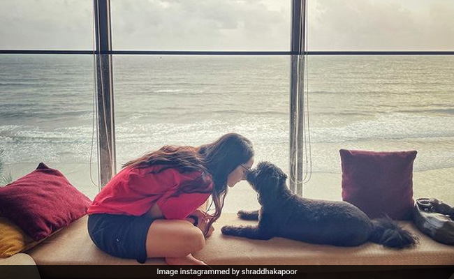 श्रद्धा कपूर ने शेयर की अपने डॉग के साथ क्यूट Photo, तस्वीर में दिखा सी-साइड अपार्टमेंट का खूबसूरत नजारा