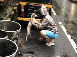 Raveena Tandon ने तूफानी बारिश में भीगते हुए कुत्ते को देख किया ऐसा काम, फैन्स बोले- आपको सलाम है..देखें Video Raveena Tandon ने तूफानी बारिश में भीगते हुए कुत्ते को देख किया ऐसा काम, फैन्स बोले- आपको सलाम है..देखें Video