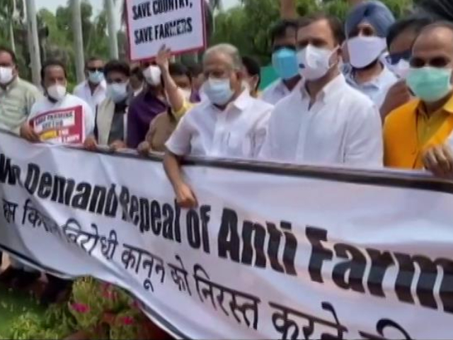 Rahul Gandhi, Congress MPs Protest Against Farm Laws