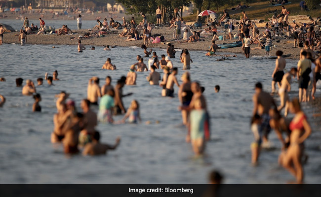 As Heat Busts Records, Nearly 500 Deaths In This Part Of Canada