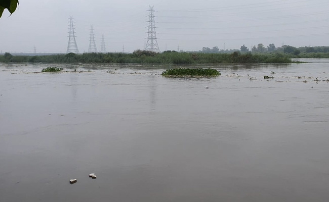 High Ammonia Levels In Yamuna To Hit Water Supply: Delhi Jal Board