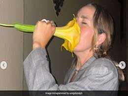 इस फूल में था 'दुनिया का सबसे खतरनाक Drug', TikTok बनाने के लिए लड़की ने गलती से सूंघ लिया और फिर... इस फूल में था 'दुनिया का सबसे खतरनाक Drug', TikTok बनाने के लिए लड़की ने गलती से सूंघ लिया और फिर...