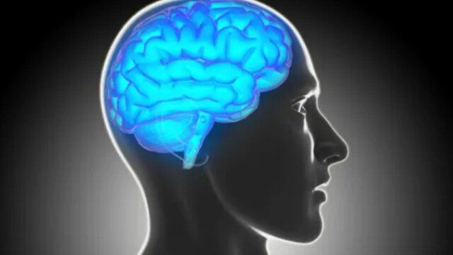 Our brain health is influenced by our lifestyle choices