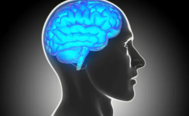 Our brain health is influenced by our lifestyle choices