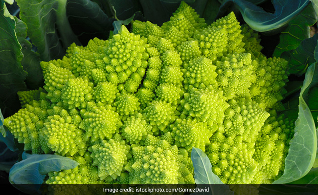 अनोखी डिजाइन वाली ये है दुनिया की सबसे विचित्र गोभी, सिर्फ दिखने में खूबसूरत ही नहीं बल्कि कई गुणों से है भरपूर
