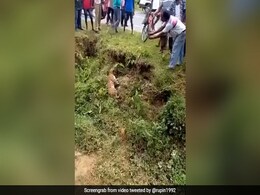 तेंदुआ कर रहा था आराम, लोग खींचने लगे फोटो, गुस्से में ऐसे झपटा मारा कि उड़ गए होश, देखें Shocking Video तेंदुआ कर रहा था आराम, लोग खींचने लगे फोटो, गुस्से में ऐसे झपटा मारा कि उड़ गए होश, देखें Shocking Video