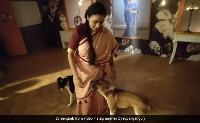 Anupamaa Upcoming Episode: 'अनुपमा' रुपाली गांगुली कर रही थीं डांस तभी आ पहुंचे डाकू और गुलगुला- देखें Funny Video