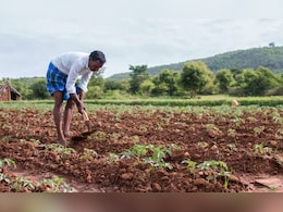 झारखंड में मानसून की 50 फीसदी कम बारिश, 97 फीसदी हिस्सों में धान की खेती नहीं हुई शुरू झारखंड में मानसून की 50 फीसदी कम बारिश, 97 फीसदी हिस्सों में धान की खेती नहीं हुई शुरू