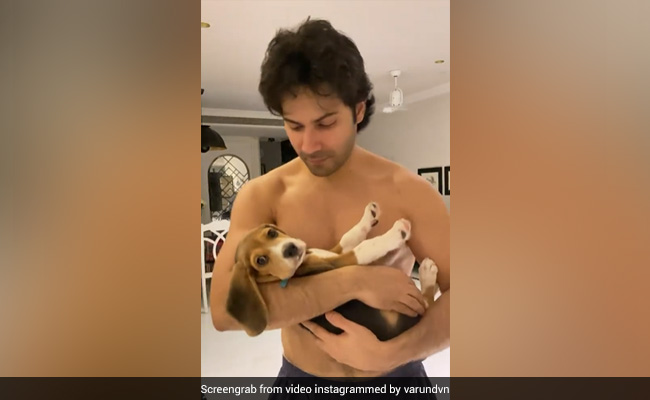 What's Keeping Varun Dhawan Busy? Play Dates With Adorable Fur-Ball Joey