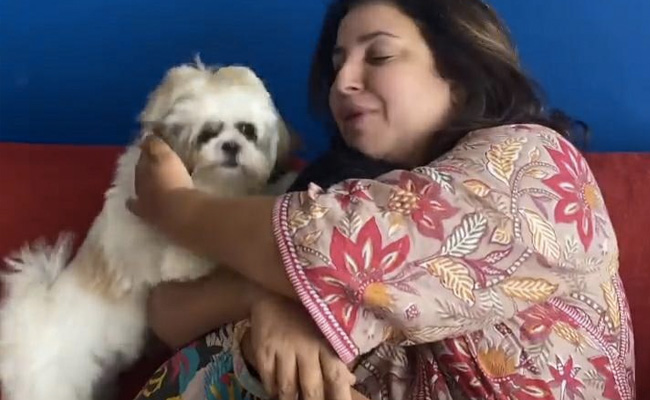 फराह खान ने बेटी को किया प्यार तो डॉगी को हुई जलन, पास आकर करने लगा ये काम...देखें Video