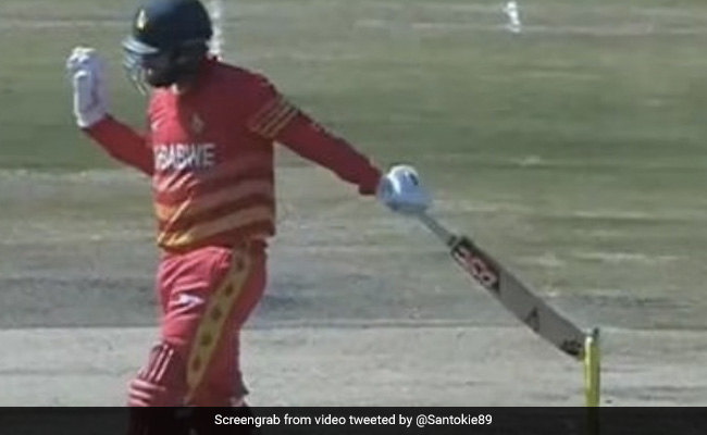 जिम्बाब्वे के ब्रेंडन टेलर हुए अनोखे अंदाज में आउट, कैसे हुए OUT बल्लेबाज को पता भी नहीं चला, देखें Video