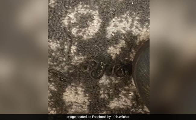 The Fuzz On The Floor Moved: Family Discovers 18 Snakes Living Under Bed