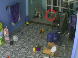 बैठकर खेल रहा था बच्चा, तभी घर में घुस आया King Cobra और पड़ गया बच्चे के पीछे, देखें रोंगटे खड़े कर देने वाला Video बैठकर खेल रहा था बच्चा, तभी घर में घुस आया King Cobra और पड़ गया बच्चे के पीछे, देखें रोंगटे खड़े कर देने वाला Video