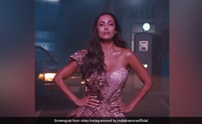 Malaika Arora ने सुपर मॉडल लुक में शेयर किया Video, देखें एक्ट्रेस का स्टनिंग अंदाज