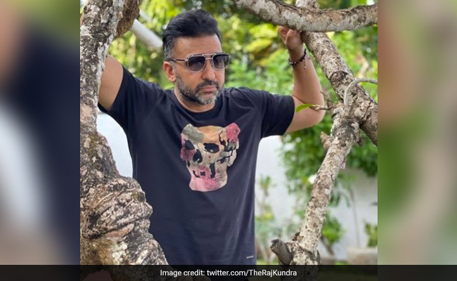 "Can't Be Mute Spectators If Evidence Destroyed": Cops On Raj Kundra