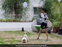 समांथा अक्किनेनी डॉगी संग यूं मस्ती करती आईं नजर, Video हुआ वायरल समांथा अक्किनेनी डॉगी संग यूं मस्ती करती आईं नजर, Video हुआ वायरल