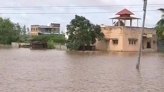 8 Dead; Houses, Crops Damaged After Rain Havoc In Marathwada