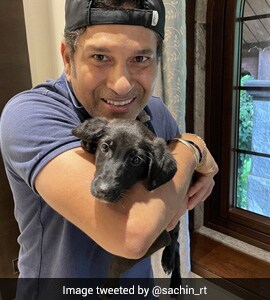 Sachin Tendulkars Dog Spike Makes Social Media Debut