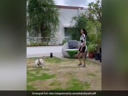 In Samantha Ruth Prabhu's Latest Video, A Glimpse Of Her Fabulous Garden In Samantha Ruth Prabhu's Latest Video, A Glimpse Of Her Fabulous Garden