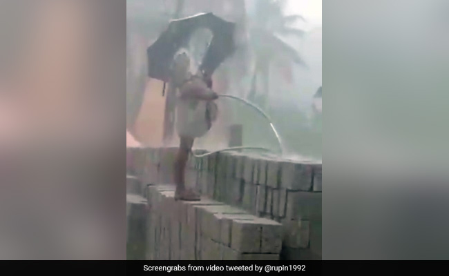 तेज़ बारिश में छाता लेकर शख्स ने पानी का पाइप लगाकर ईंटों को किया गीला, IPS बोला- 'सबसे Smart बेवकूफ', देखें  Video