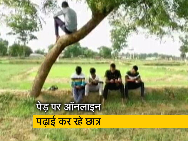 महाराष्ट्र: इंटरनेट का नेटवर्क बनी समस्या, 15 महीने से पेड़ पर ही ऑनलाइन पढ़ाई
