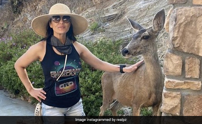 Preity Zinta Is Making Memories With An "Unusual Friend" On Vacation