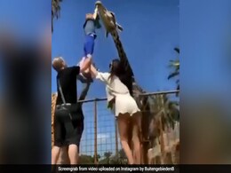 Giraffe को पत्ते खिला रहा था बच्चा, तभी अचानक हवा में उड़ने लगा, फिर हुआ कुछ ऐसा...,देखें Video Giraffe को पत्ते खिला रहा था बच्चा, तभी अचानक हवा में उड़ने लगा, फिर हुआ कुछ ऐसा...,देखें Video