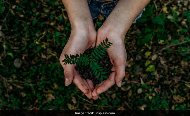 World Nature Conservation Day 2021: This Year's Theme, Purpose And Significance