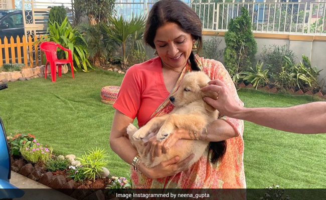 "<I>Pyar... Pyar... Pyara</i>": Neena Gupta Fell In Love With This Fur-Ball At Work