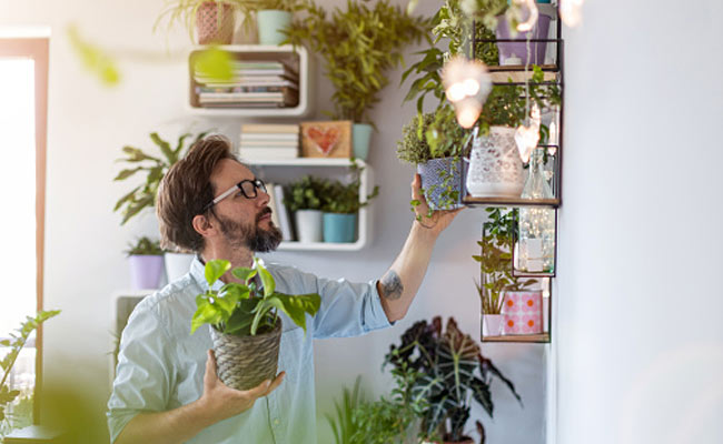 Transform Your Homes With These DIY With These Plant Shelf Ideas