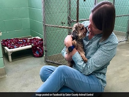 Dog, Reported Stolen In Florida, Reunited With Family After 7 Years Dog, Reported Stolen In Florida, Reunited With Family After 7 Years