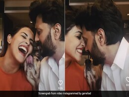 रितेश-जेनेलिया फरमा रहे थे रोमांस, तभी पति-पत्नी के बीच हुई इनकी एंट्री- देखें Video रितेश-जेनेलिया फरमा रहे थे रोमांस, तभी पति-पत्नी के बीच हुई इनकी एंट्री- देखें Video