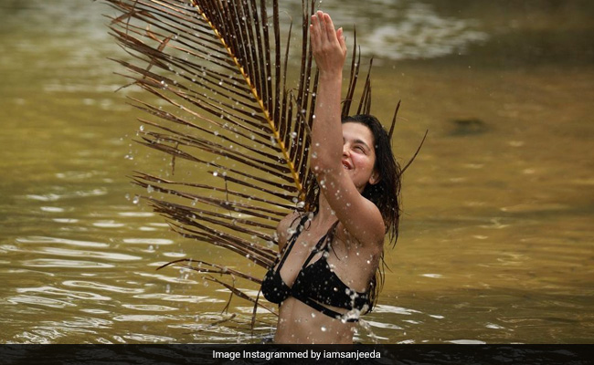 10 Times Sanjeeda Shaikh Sent Instagram Into Meltdown With Her Posts. You're Welcome