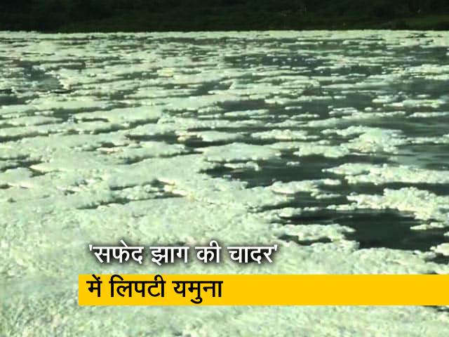 Delhi: यमुना नदी में फिर दिखी सफेद झाग, देखें चौंका देने वाला Video