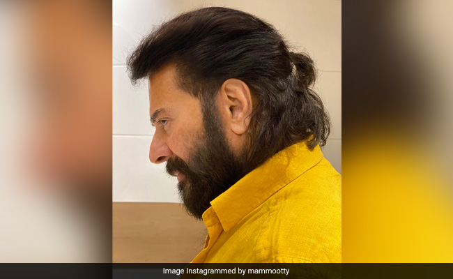 Mammootty's "Tiny Pony" Pic Goes Viral. See Here