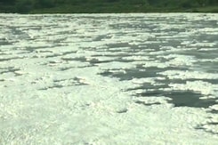 Toxic Foam Floats On Yamuna In Delhi Toxic Foam Floats On Yamuna In Delhi