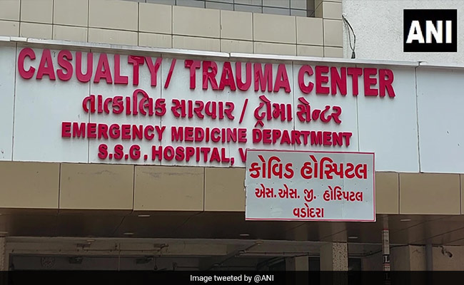 Video Shows Ants On Face Of Paralysed Covid Patient In Gujarat, Probe On