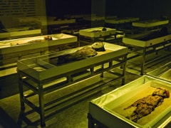 Chile's Ancient Mummies Added To UN Heritage List