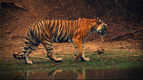 Story image
