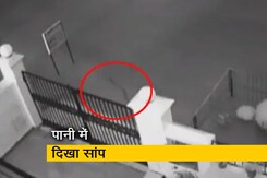 गुरुग्राम में भारी बारिश, सड़क पर भरे पानी में तैरता दिखा सांप गुरुग्राम में भारी बारिश, सड़क पर भरे पानी में तैरता दिखा सांप